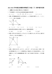 湖北省襄阳市樊城区2022-2023学年八年级下学期期中数学试卷