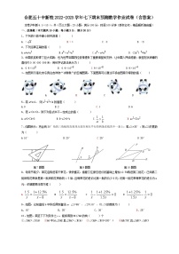 安徽省合肥市蜀山区五十中学新校2022-2023学年七年级下学期期末预测数学作业试卷