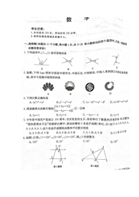 湖南省益阳市安化县2020-2021学年七年级下学期期末考试数学试题