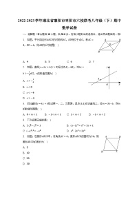 2022-2023学年湖北省襄阳市枣阳市六校联考八年级（下）期中数学试卷（含解析）