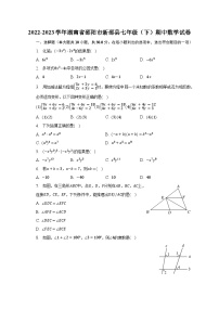 2022-2023学年湖南省邵阳市新邵县七年级（下）期中数学试卷（含解析）