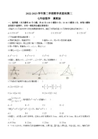 河北省沧州市南皮县桂和中学2022-2023学年七年级下学期第三次月考数学试题