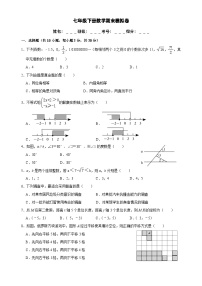 七年级下册数学期末模拟卷