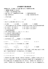 七年级下学期期末数学试题