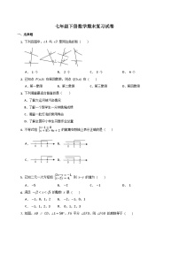 七年级下学期数学期末复习试卷