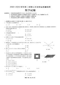 安徽省合肥市高新区2022-2023学年下学期七年级期末数学试卷