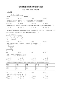 七年级下学期期末数学试题