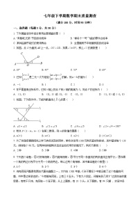 七年级下学期期末考试数学试题