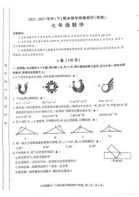 四川省成都市金牛区2022-2023学年七年级下学期6月期末数学试题