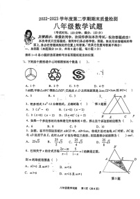 山东省青岛市城阳区2022-2023学年八年级下学期6月期末数学试题