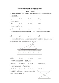 2023年湖南省株洲市中考数学试卷（含解析）