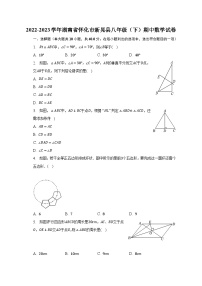 2022-2023学年湖南省怀化市新晃县八年级（下）期中数学试卷（含解析）