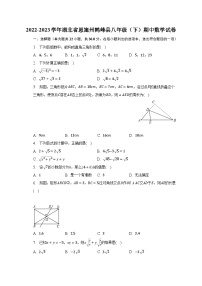 2022-2023学年湖北省恩施州鹤峰县八年级（下）期中数学试卷（含解析）