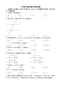 七年级下学期数学期末试卷及答案