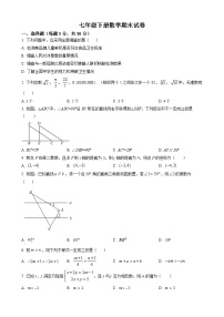 七年级下学期期末数学试题