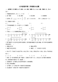 七年级下学期期末数学试题及答案