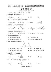 安徽省合肥市肥西县2022-2023学年七年级下学期期末数学试题