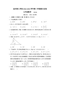 江苏省扬州市树人学校2022-2023学年七年级下学期6月期末数学试题