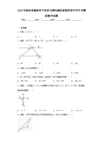 2023年陕西省榆林市子洲县马蹄沟镇张家港希望中学中考模拟数学试题（含解析）