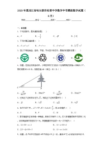 2023年黑龙江省哈尔滨市松雷中学数学中考模拟数学试题（6月）（含解析）