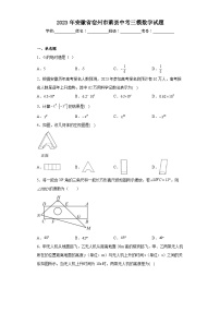 2023年安徽省宿州市萧县中考三模数学试题（含解析）