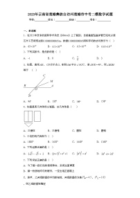 2023年云南省楚雄彝族自治州楚雄市中考二模数学试题（含解析）