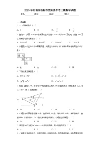 2023年河南省洛阳市宜阳县中考三模数学试题（含解析）