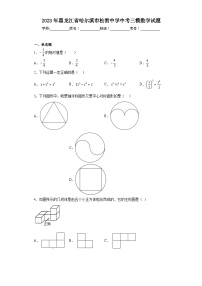 2023年黑龙江省哈尔滨市松雷中学中考三模数学试题（含解析）