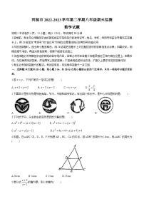 广东省河源市2022-2023学年八年级下学期期末数学试题（含答案）