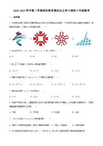 浙江省绍兴市绍初教育集团2022-2023学年八年级下学期期中数学试题