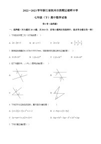 浙江省杭州市拱墅区朝晖中学2022-2023学年七年级下学期期中数学试题