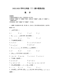 安徽省定远中学2022-2023学年七年级下学期期中模拟考试数学试卷(含解析)