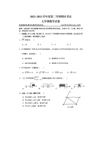 湖北省武汉市东湖高新区2022-2023学年下学期期末考试七年级数学试卷