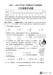 湖北省襄阳市枣阳市2022-2023学年八年级下学期期末考试数学试题