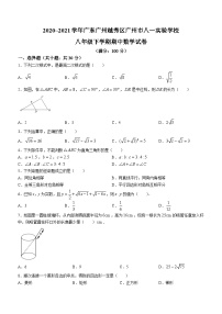 广东省广州市八一实验学校2020—2021学年八年级下学期期中数学试题(无答案)