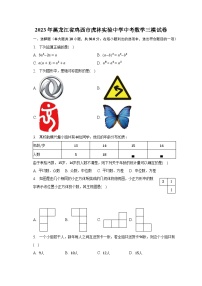 2023年黑龙江省鸡西市虎林实验中学中考数学三模试卷（含解析）