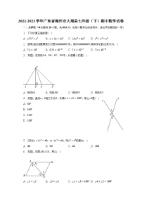 2022-2023学年广东省梅州市大埔县七年级（下）期中数学试卷（含解析）