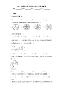 2023年黑龙江省齐齐哈尔市中考数学真题（含答案）