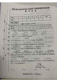 安徽省宿州市泗县2022-2023学年八年级下学期期末数学试题