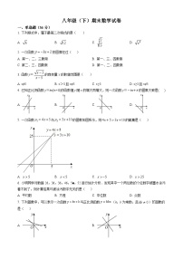 八年级下学期期末数学试题