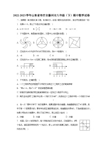 山东省枣庄市滕州市2022-2023学年八年级下学期期中数学试卷+