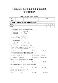 湖南省永州市宁远县2022-2023学年七年级下学期期中质量监测数学试卷(含答案)