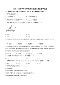 山东省滨州市沾化区2021-2022学年七年级下学期期末考试数学试卷(含解析)