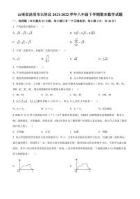 云南省昆明市石林县2021-2022学年八年级下学期期末数学试卷(pdf版 含答案)