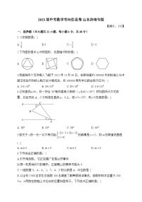 2023届中考数学考向信息卷 山东济南专版(含解析)