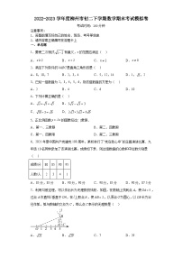 广西柳州市2022-2023学年八年级下学期数学期末考试模拟卷（含答案）