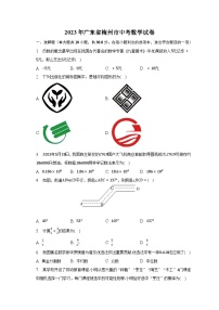 2023年广东省梅州市中考数学试卷（含解析）