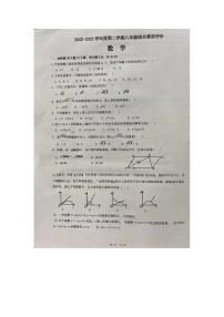 广东省汕头市潮阳区2022-2023学年八年级下学期期末数学试题