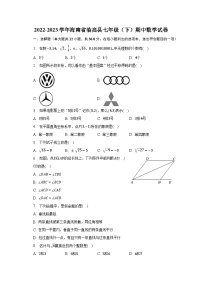 2022-2023学年海南省临高县七年级（下）期中数学试卷（含解析）