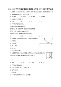 2022-2023学年河南省漯河市临颍县七年级（下）期中数学试卷（含解析）